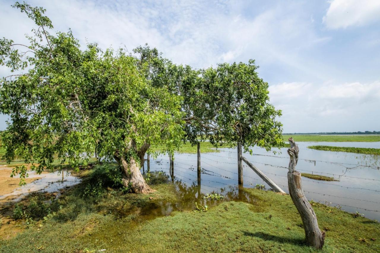 Chaarya Lake Hotel Tissamaharama Exterior foto